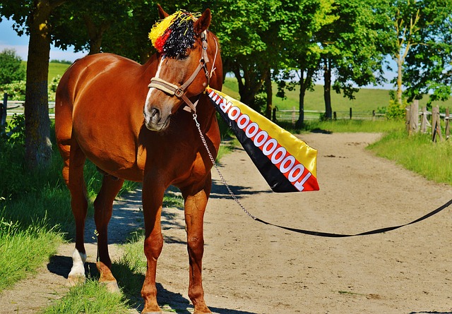 阿尔巴：退役令我难过但没犹豫，职业生涯的成就远超我的预期