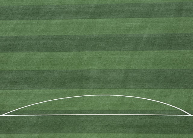 布莱顿中国球迷会：将停更内容直到俱乐部道歉，同时提出4大诉求