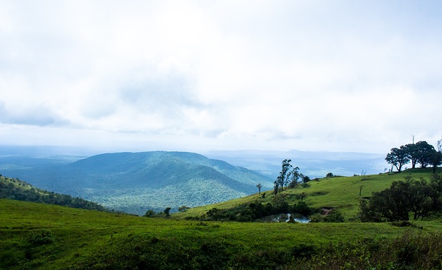 小勒布伦上演极限逆转，国乒混团世界杯丢掉一盘，8-2法国队